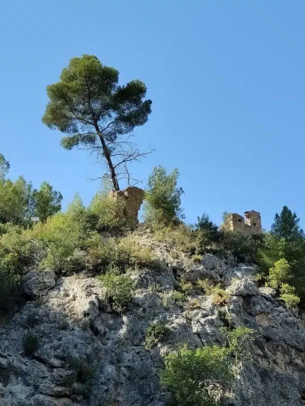 choisir son terrain de glamping