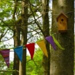 Coaching foncier insolite