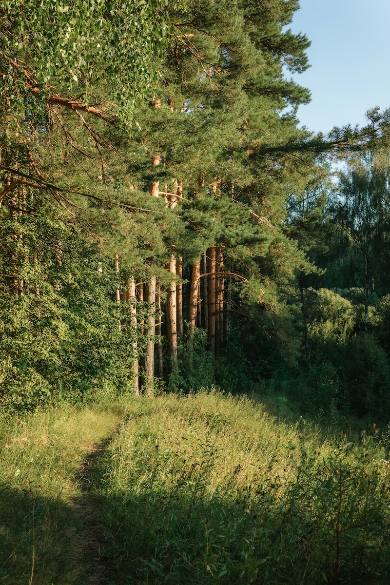 le terrain parfait pour le glamping