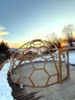 structure de dôme géodésique nid d'abeille